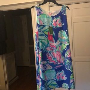 Beautiful NEW Lilly dress